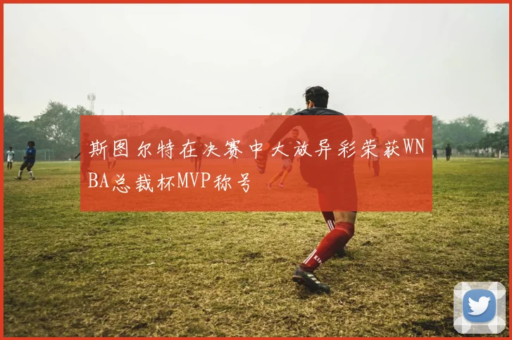 斯图尔特在决赛中大放异彩荣获WNBA总裁杯MVP称号