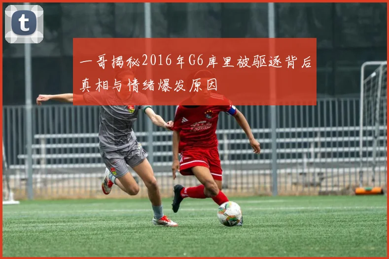 一哥揭秘2016年G6库里被驱逐背后真相与情绪爆发原因