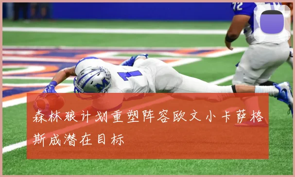 森林狼计划重塑阵容欧文小卡萨格斯成潜在目标