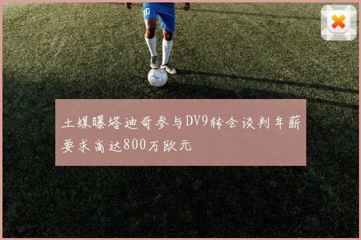 土媒曝塔迪奇参与DV9转会谈判年薪要求高达800万欧元