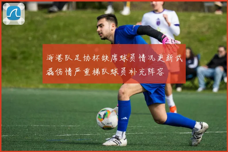 海港队足协杯缺席球员情况更新武磊伤情严重梯队球员补充阵容